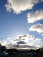 モモラテの画像