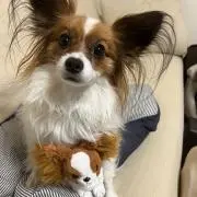 nushiの画像