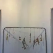 イアイの画像