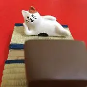 にゃんたろうの画像