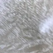 るき