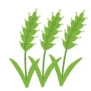 Namamugiの画像