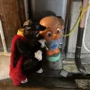 aqqの画像