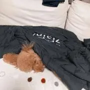りーの画像
