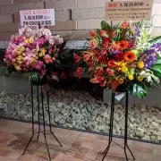 ノンノン