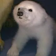 そら