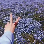 Sho.の画像