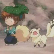 百の画像