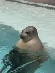 みをなすの画像