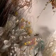 arikの画像