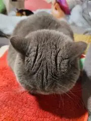 jmmmmnの画像