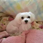 プロフ必読！