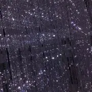 ひらの画像