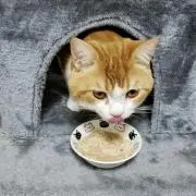 みや