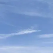 Shirokumaの画像