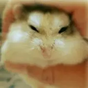 keroの画像