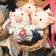 ぶーちゃんの画像
