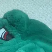 pinupの画像