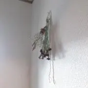 …❁hanaの画像