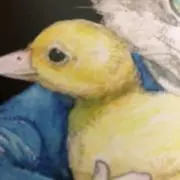 ゆめの画像