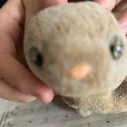 milkの画像