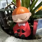 ファジーちゃんの画像