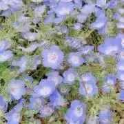なばお(※プロフ要確認)の画像
