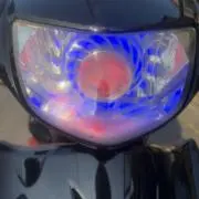 ぽんちの画像