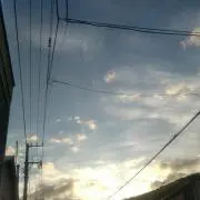 ひな