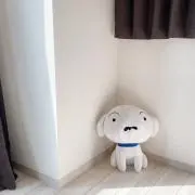 メルの画像