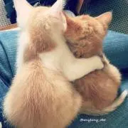 ちび♡
