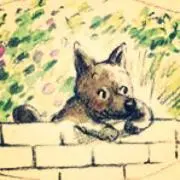 わぉんの画像