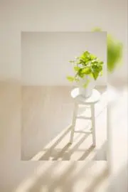 20Fの画像