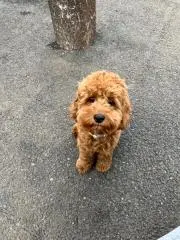 Mの画像