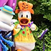 どなるどだっく♡