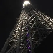 Tの画像