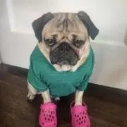 c_s_g_r