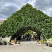 レオレオ