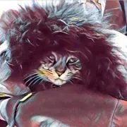 とも