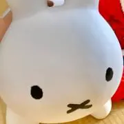 klmnoの画像