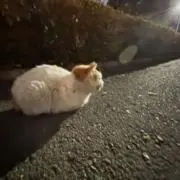 一ノの画像