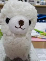 アルパカパカの画像