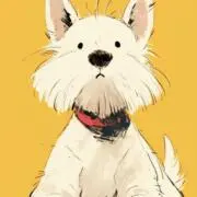 Chandler.Cの画像