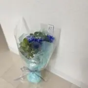 サの画像