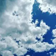 ねこ(o^^o)の画像