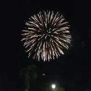 にぬの画像