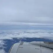 トマトの画像