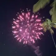 hana4003の画像