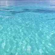 sanの画像