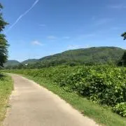 Ramの画像